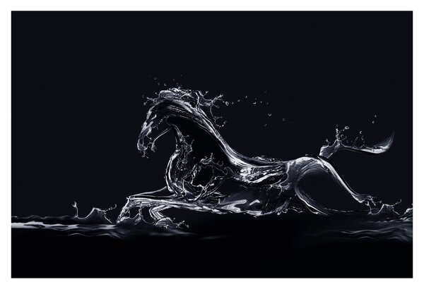 Kép - Ló és a víz (90x60 cm)