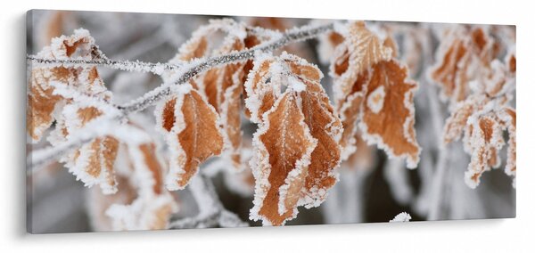 Kép - Fagyott levelek (120x50 cm)