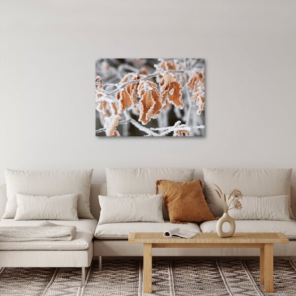 Kép - Fagyott levelek (70x50 cm)