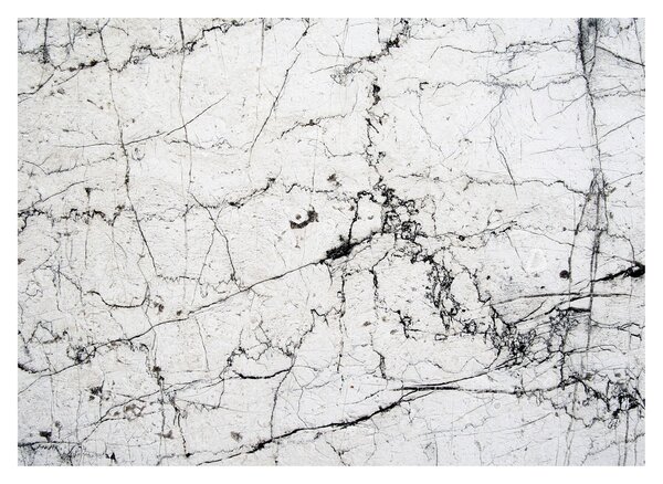 Kép - Fal (70x50 cm)