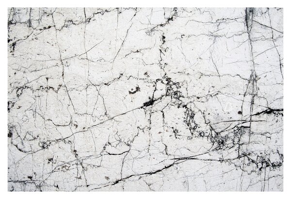Kép - Fal (90x60 cm)