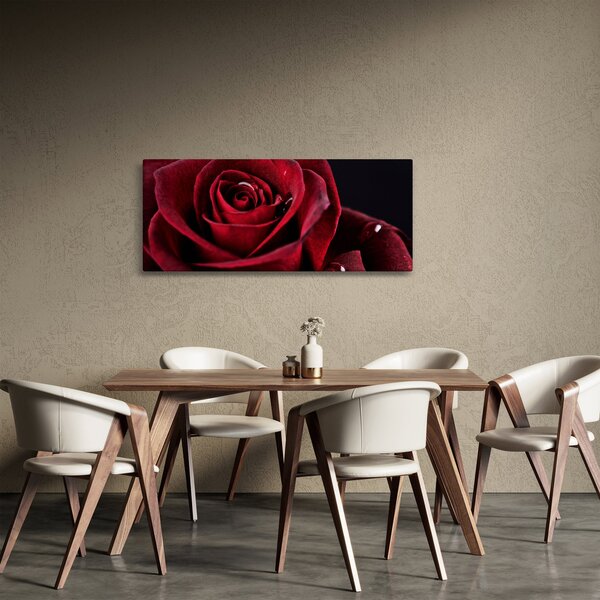 Kép - Vörös rózsa (120x50 cm)