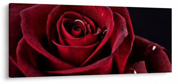 Kép - Vörös rózsa (120x50 cm)