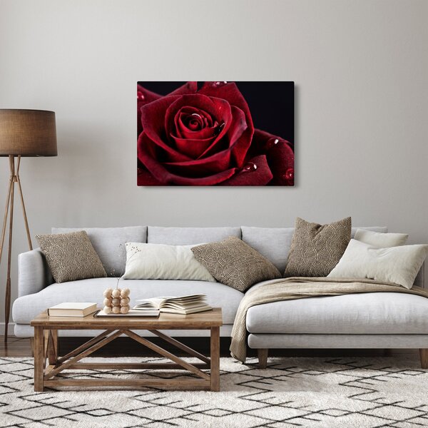 Kép - Vörös rózsa (90x60 cm)