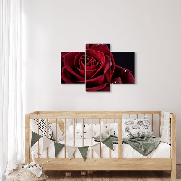 Kép - Vörös rózsa (90x60 cm)