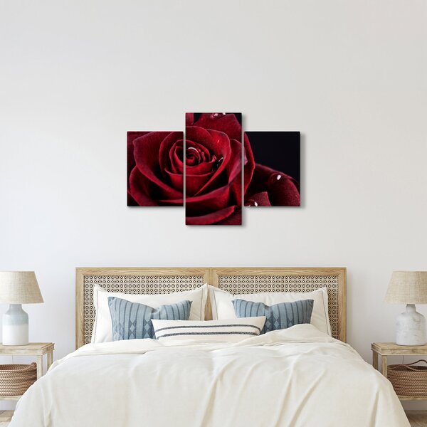 Kép - Vörös rózsa (90x60 cm)