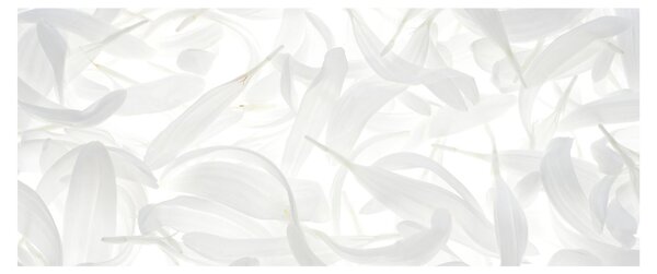 Kép - Szirmok (120x50 cm)