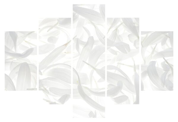 Kép - Szirmok (150x105 cm)