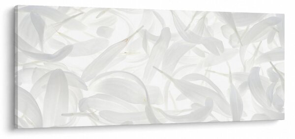 Kép - Szirmok (120x50 cm)