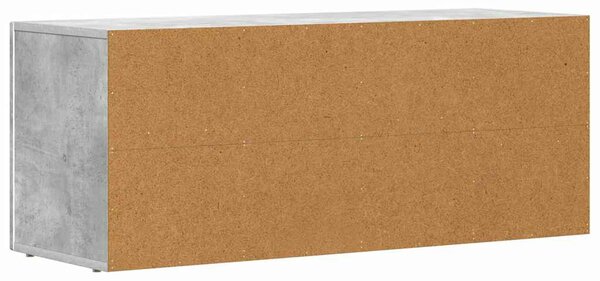 TV szekrény ELST 100 x 35 x 40 cm Beton Szürke Faanyag