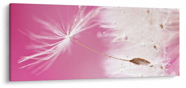 Kép - Makró virága (120x50 cm)