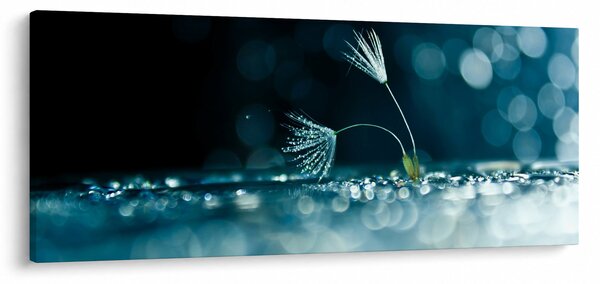 Kép - Makró (120x50 cm)
