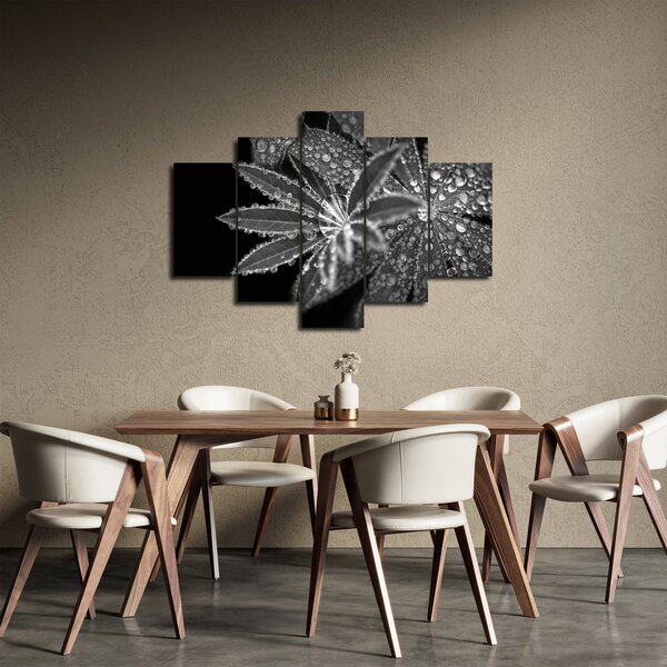 Kép - Levelek cseppekkel (150x105 cm)