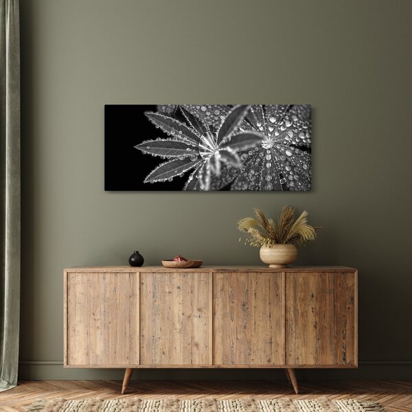 Kép - Levelek cseppekkel (120x50 cm)