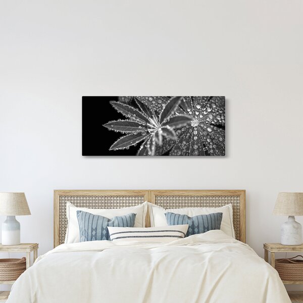 Kép - Levelek cseppekkel (120x50 cm)