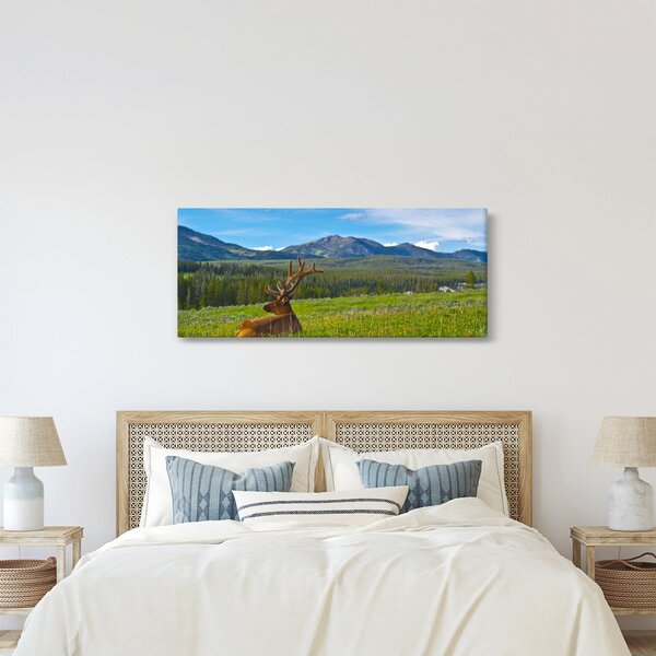 Kép - Szarvas a réten (120x50 cm)