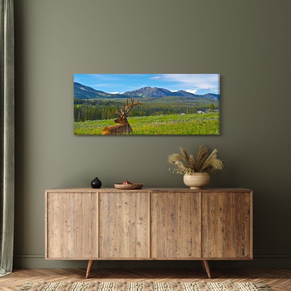 Kép - Szarvas a réten (120x50 cm)