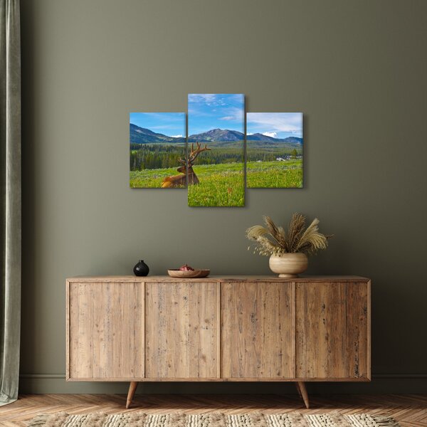 Kép - Szarvas a réten (90x60 cm)