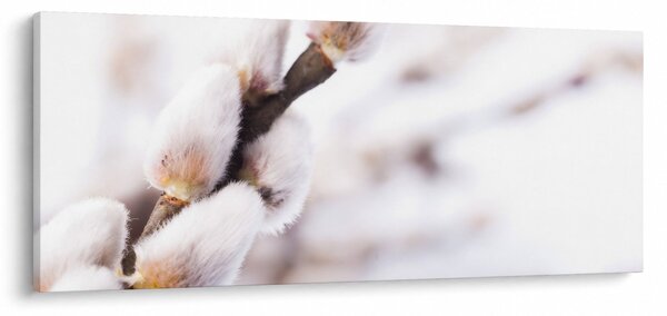 Kép - Macska (120x50 cm)