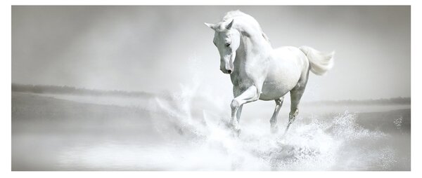Kép - Fehér ló (120x50 cm)