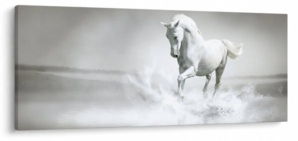 Kép - Fehér ló (120x50 cm)