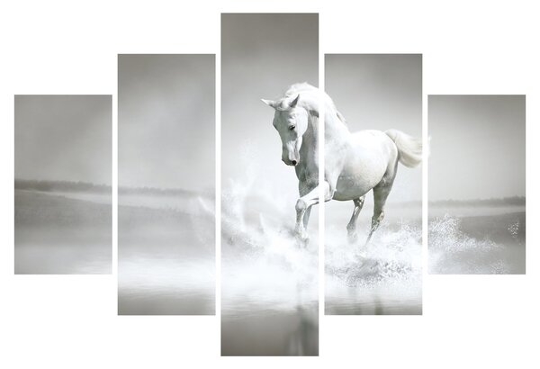 Kép - Fehér ló (150x105 cm)