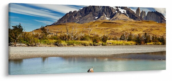 Kép - Torres del Paine Nemzeti Park (120x50 cm)
