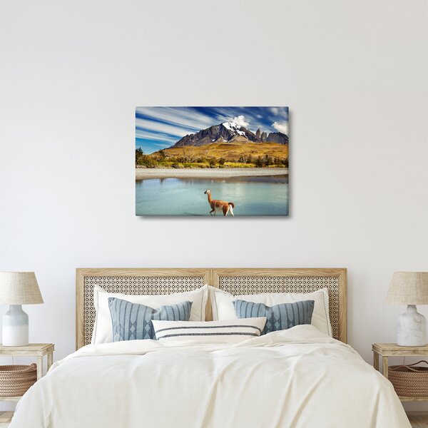 Kép - Torres del Paine Nemzeti Park (70x50 cm)