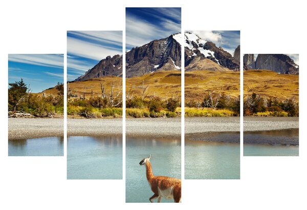 Kép - Torres del Paine Nemzeti Park (150x105 cm)