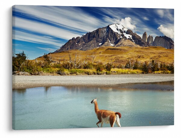 Kép - Torres del Paine Nemzeti Park (70x50 cm)