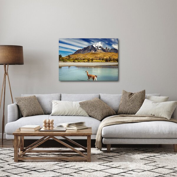 Kép - Torres del Paine Nemzeti Park (70x50 cm)