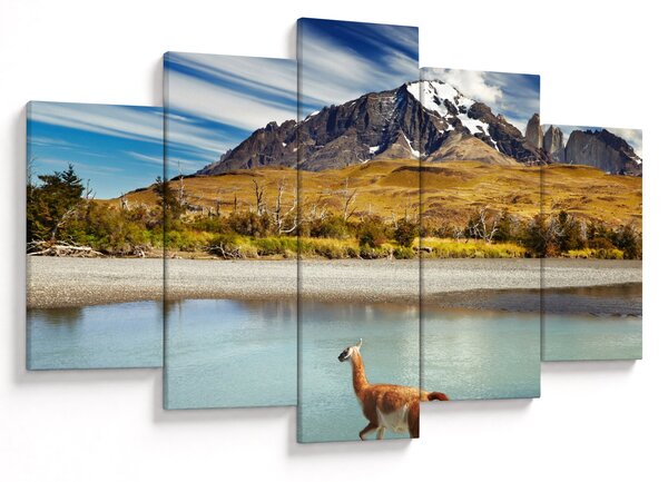 Kép - Torres del Paine Nemzeti Park (150x105 cm)