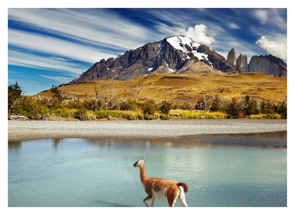 Kép - Torres del Paine Nemzeti Park (70x50 cm)