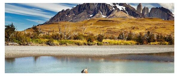 Kép - Torres del Paine Nemzeti Park (120x50 cm)