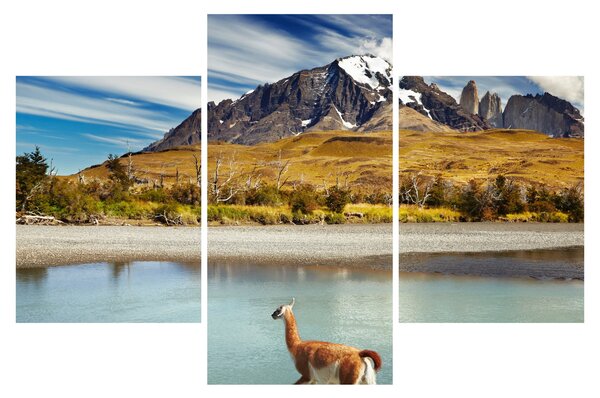 Kép - Torres del Paine Nemzeti Park (90x60 cm)
