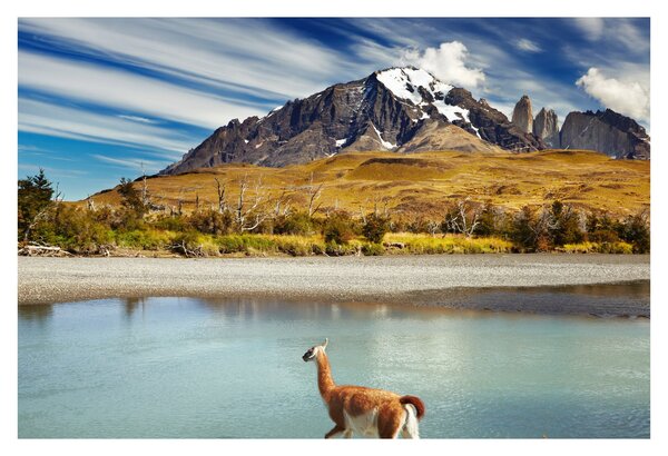 Kép - Torres del Paine Nemzeti Park (90x60 cm)