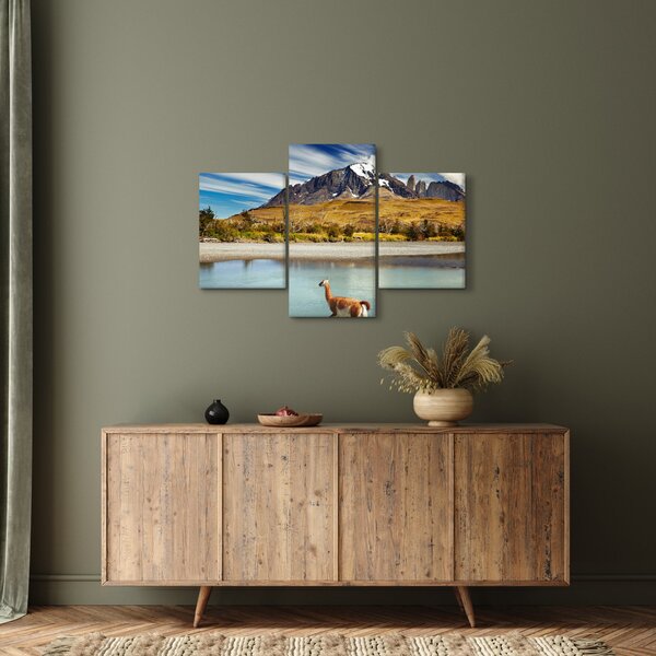 Kép - Torres del Paine Nemzeti Park (90x60 cm)