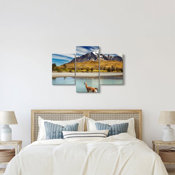 Kép - Torres del Paine Nemzeti Park (90x60 cm)