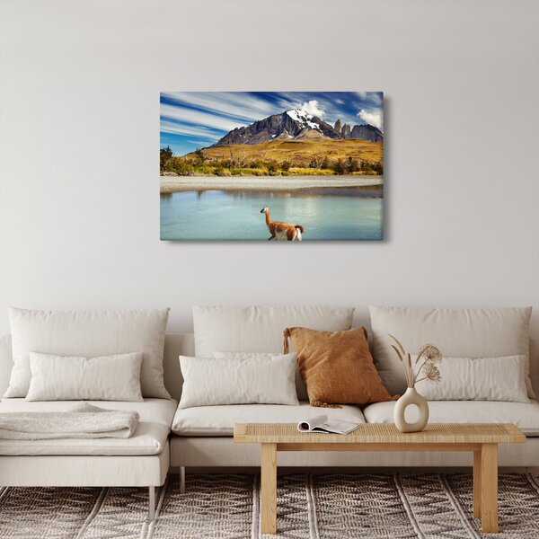 Kép - Torres del Paine Nemzeti Park (90x60 cm)