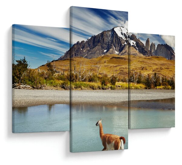 Kép - Torres del Paine Nemzeti Park (90x60 cm)