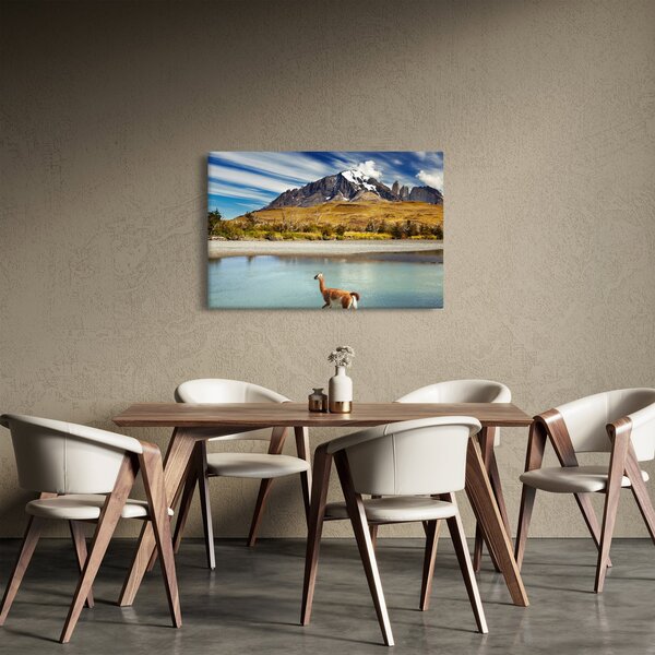 Kép - Torres del Paine Nemzeti Park (90x60 cm)