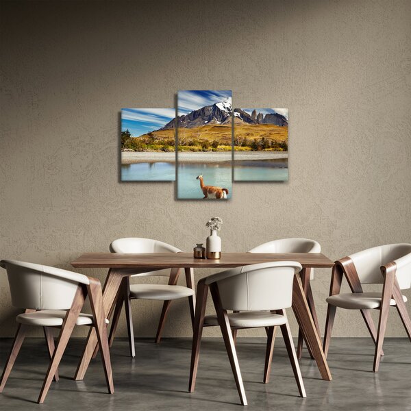 Kép - Torres del Paine Nemzeti Park (90x60 cm)