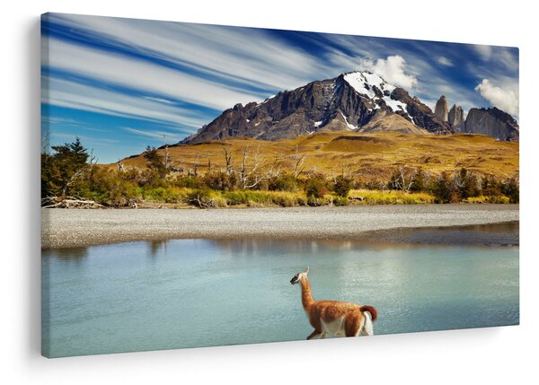 Kép - Torres del Paine Nemzeti Park (90x60 cm)