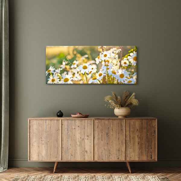 Kép - Százszorszépek (120x50 cm)