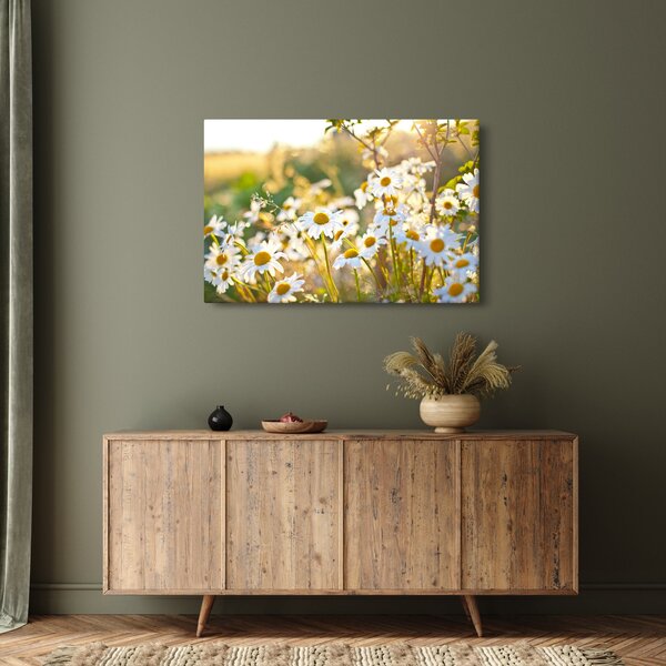 Kép - Százszorszépek (90x60 cm)