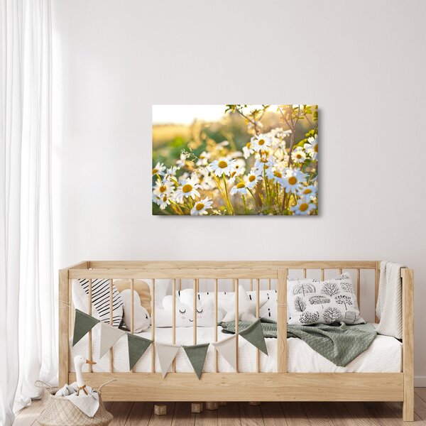 Kép - Százszorszépek (90x60 cm)
