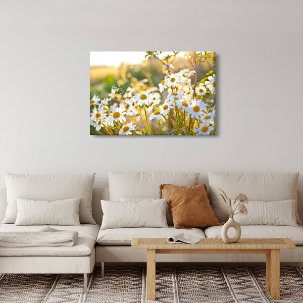 Kép - Százszorszépek (90x60 cm)
