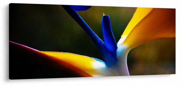 Kép - Egzotikus virág (120x50 cm)