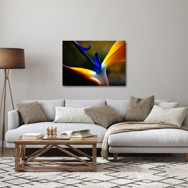 Kép - Egzotikus virág (70x50 cm)