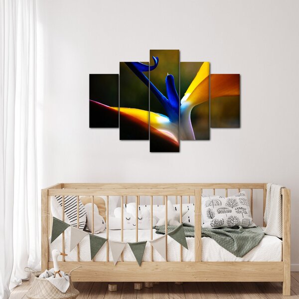 Kép - Egzotikus virág (150x105 cm)